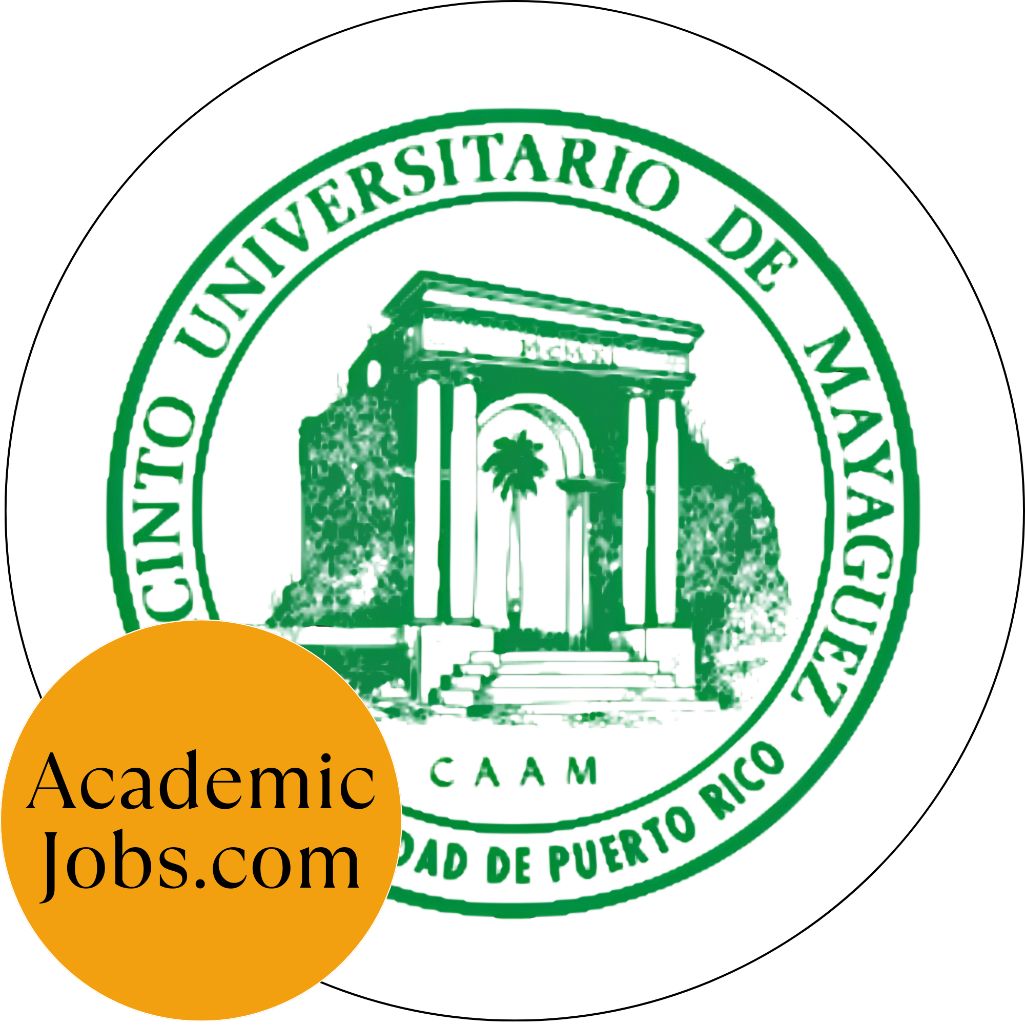 Assistant Professor in Accounting