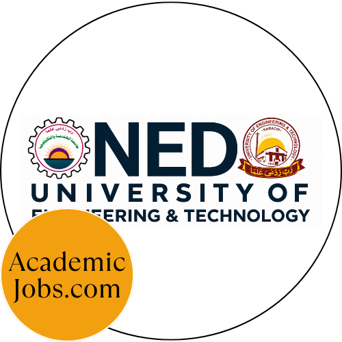 NED Logo