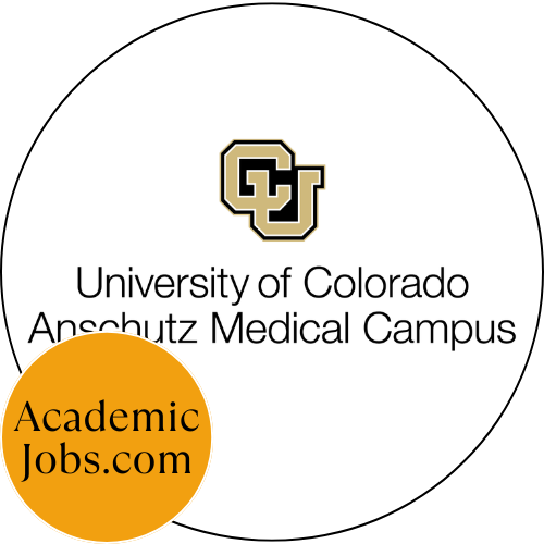Senior Application Developer
