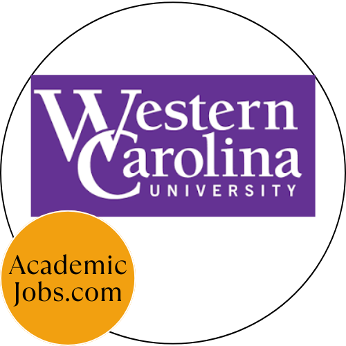 CRM Developer and Data Analyst