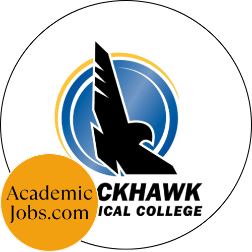 ERP Systems Analyst