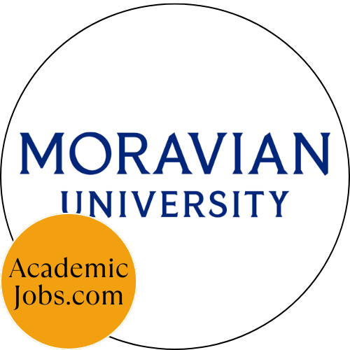 Financial Analyst - Accounting & Auxiliary Analyst