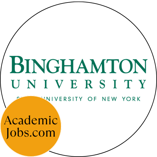 Lecturer in Management Information Systems
