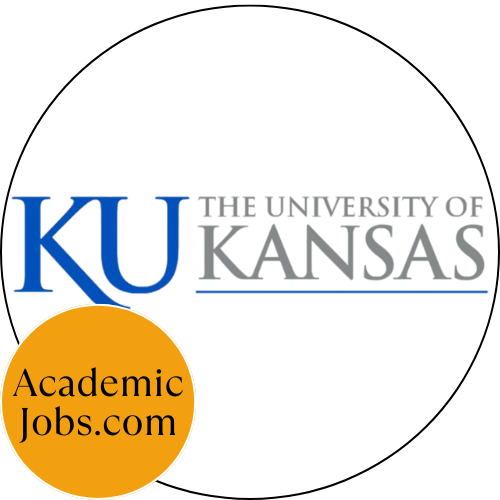 Asst/Assoc/Full Professor of the Practice-Information Technology