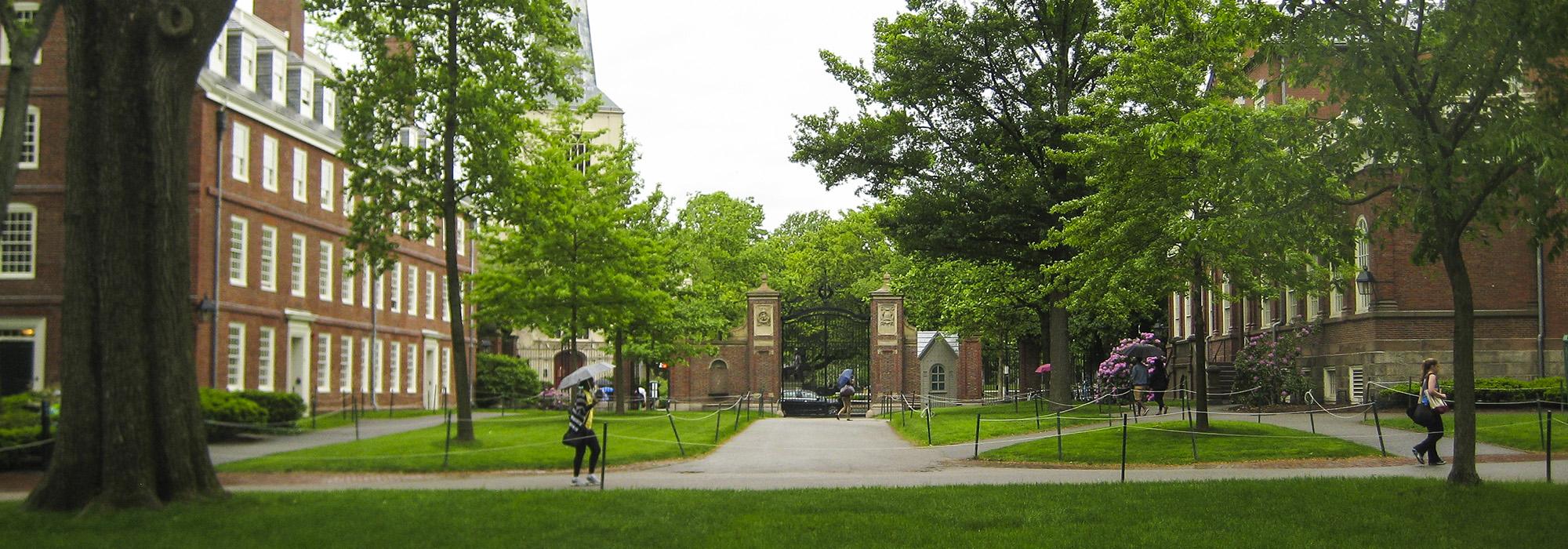 Harvard University