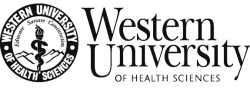Director of Development