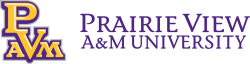 Assistant Professor (Physics)